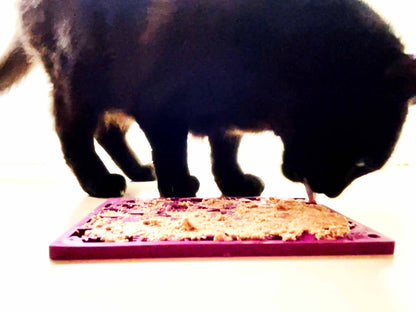 Fishy Design eMat Enrichment Lick Mat