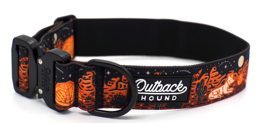 Desert Camp Out Dog Collar - Black