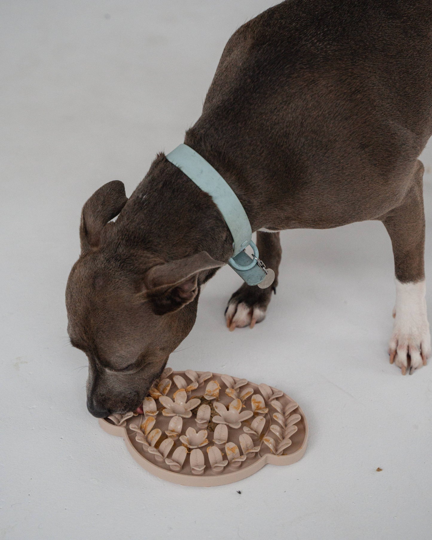 Dog Head Snuffle Mat