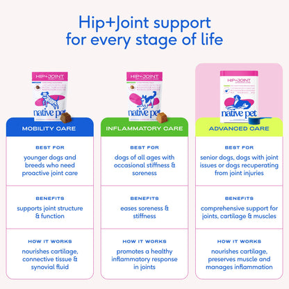 Hip+Joint Advanced Care Powder Joint, Muscle & Inflammation: 30 scoops