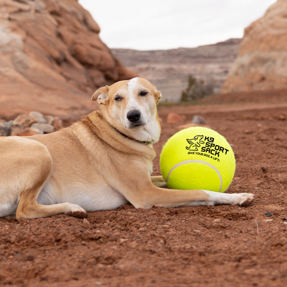 Jumbo Tennis Ball