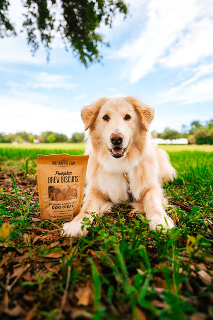 Portland Pet Pumpkin Brew Dog Biscuits
