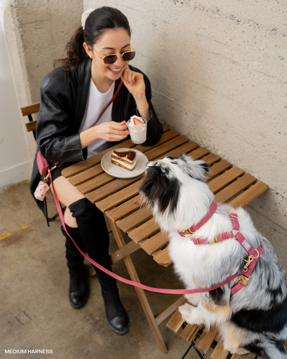 Burgundy 4-in-1 Convertible Hands Free Cloud Dog Leash: Standard