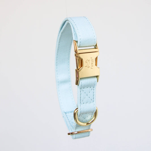 'Baby Blue' - Dog Collar