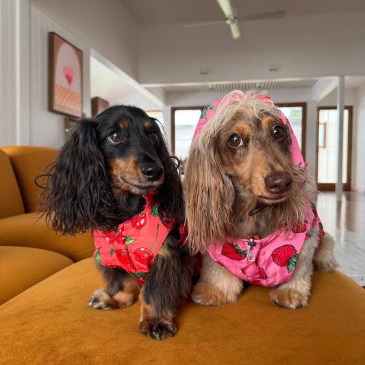 Strawberries / Cherry: Reversible Dog Raincoat