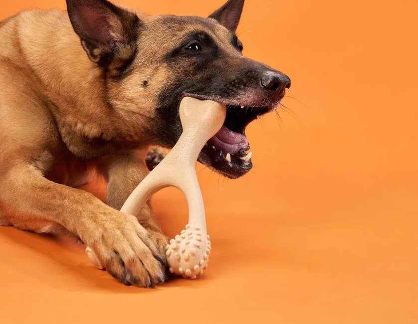 BetterBone Hard Classic Dog Chew Toy