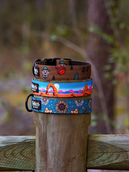 Bees Knees Teal Dog Collar: Small