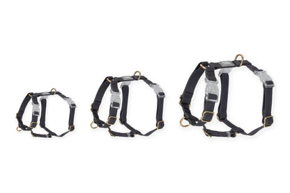 Sunny Tails Ember Black Cloud Lite Dog Harness