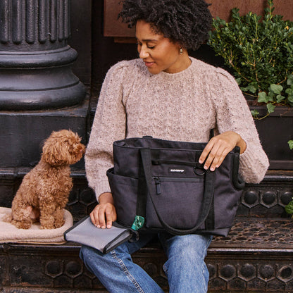 Transit Tote Dog Carrier - Two Sizes Available: Sand / Small