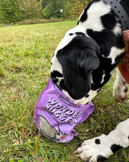 Polkadog Wonder Nuggets, Pork & Apple - 10oz - Dog Treats