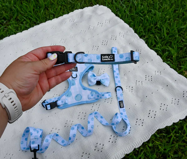 Berry Cute Dog Collar