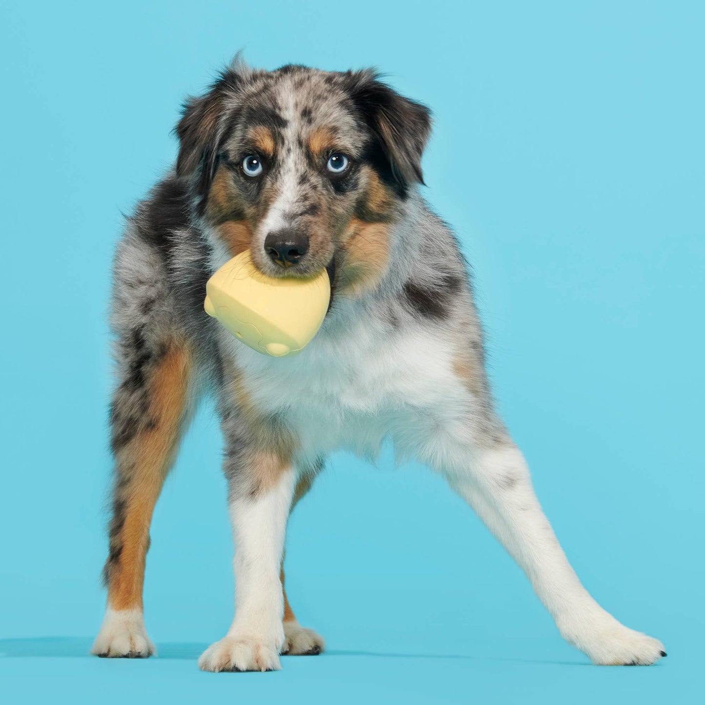 BARK Tough Chick Chicken Super Chewer Dog Toy Yellow