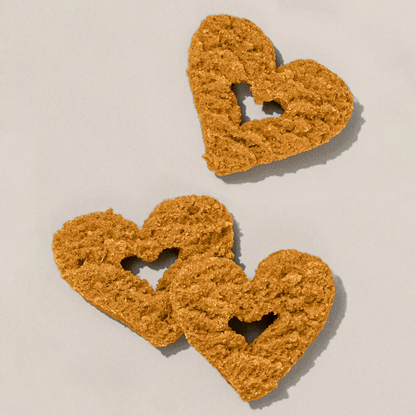 Gogoma PB + Pumpkin Whole Food Dog Treat for Digestion