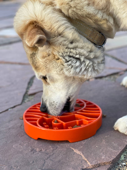 Yin Yang Design Shallow Slow Feeder Tray for Dogs