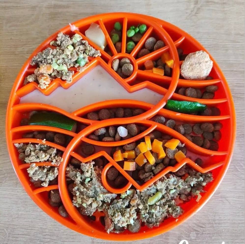 Yin Yang Design Shallow Slow Feeder Tray for Dogs