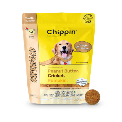 Chippin Superfood Gut-Health Peanut Butter Cricket Pumpkin Treats