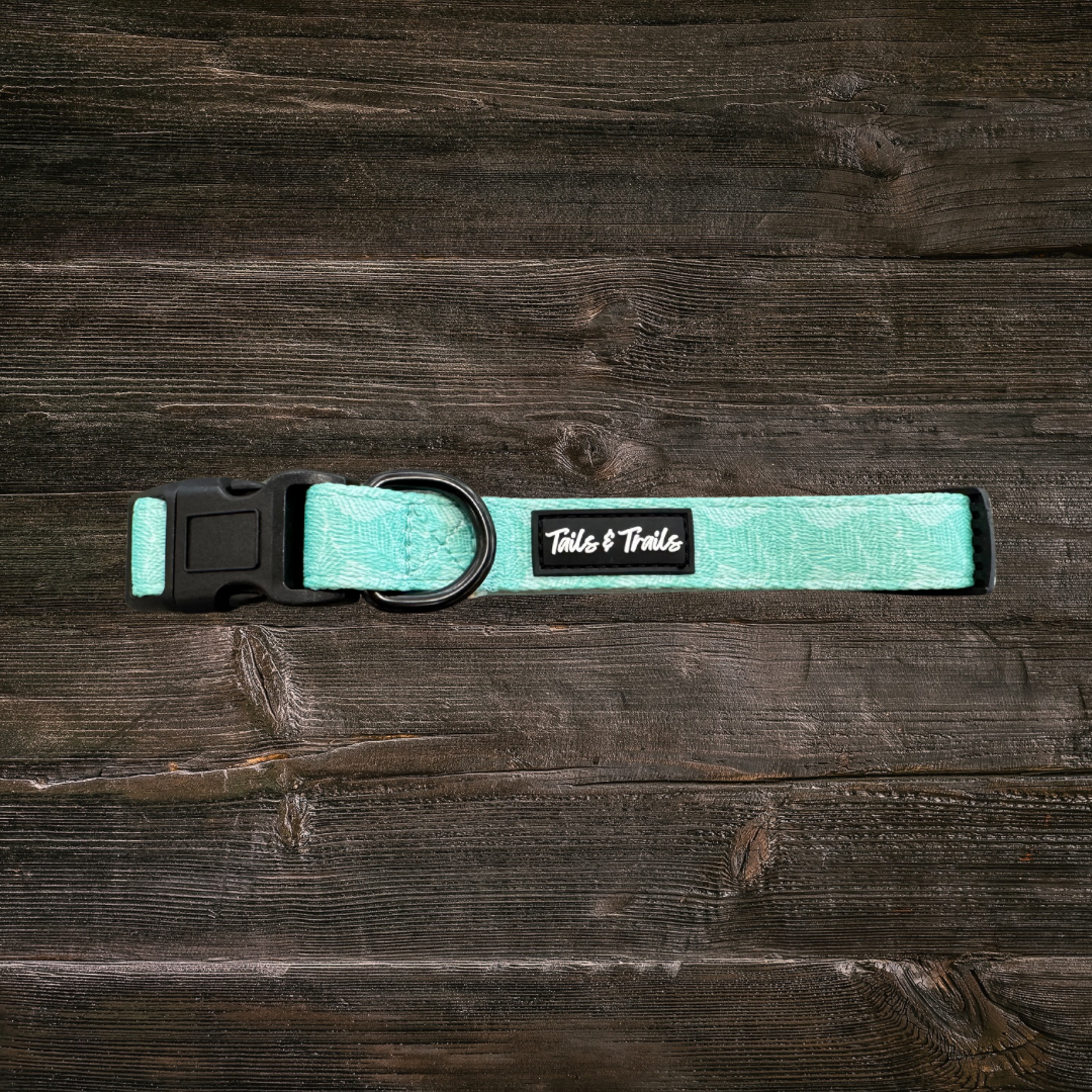 Island Trail Dog Collar: Medium