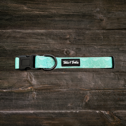 Island Trail Dog Collar: Medium