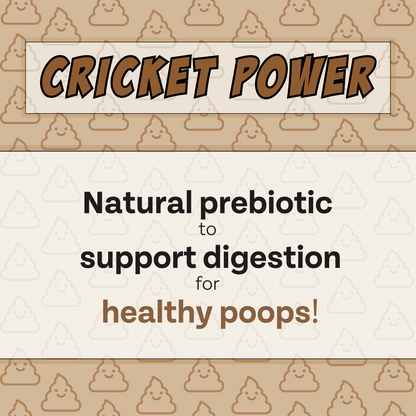 Chippin Superfood Gut-Health Peanut Butter Cricket Pumpkin Treats