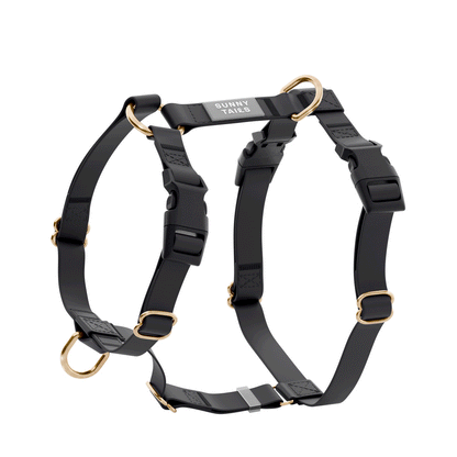 Sunny Tails Ember Black Cloud Lite Dog Harness