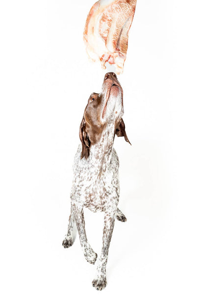 Winnie Lou Bison Scapula Chews