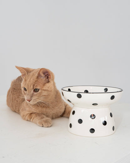 Cat Ceramic Bowl - White & Black Polka Dot