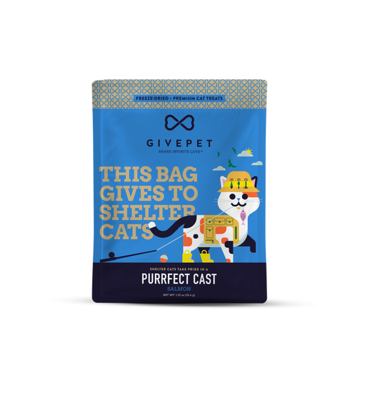 Give Pet Cat FD Treats: Salmon