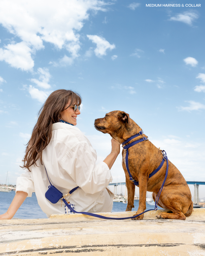 Signature Navy 4-in-1 Convertible Hands Free Cloud Dog Leash: Standard