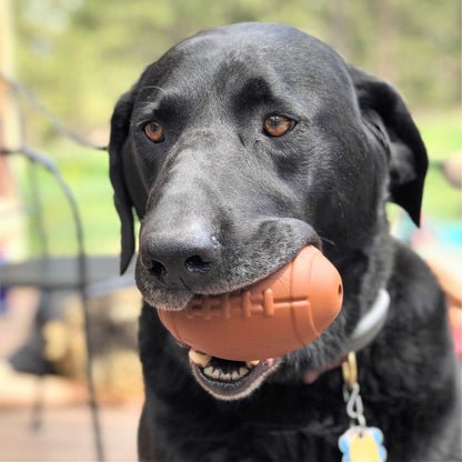 Football - Chew Toy - Treat Dispenser - Large