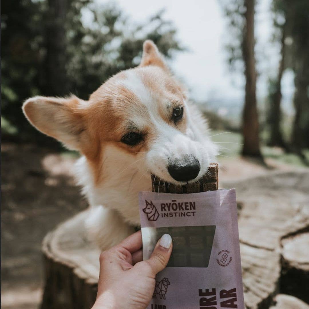 Ryoken Lamb Treat & Snack Bar Dogs