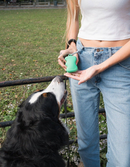 Springer Squeeze Silicone Dog Treat Dispenser