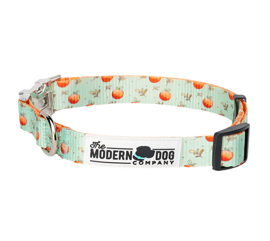 Feeling Peachy Dog Collar