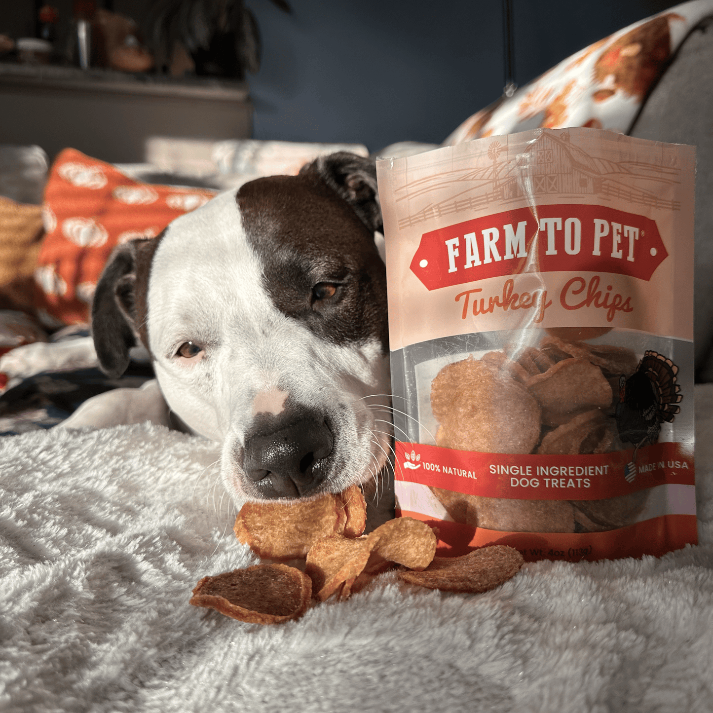 Turkey Chips Dog Treats: 4oz