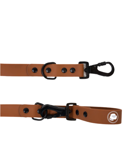 Coco Brown Leash