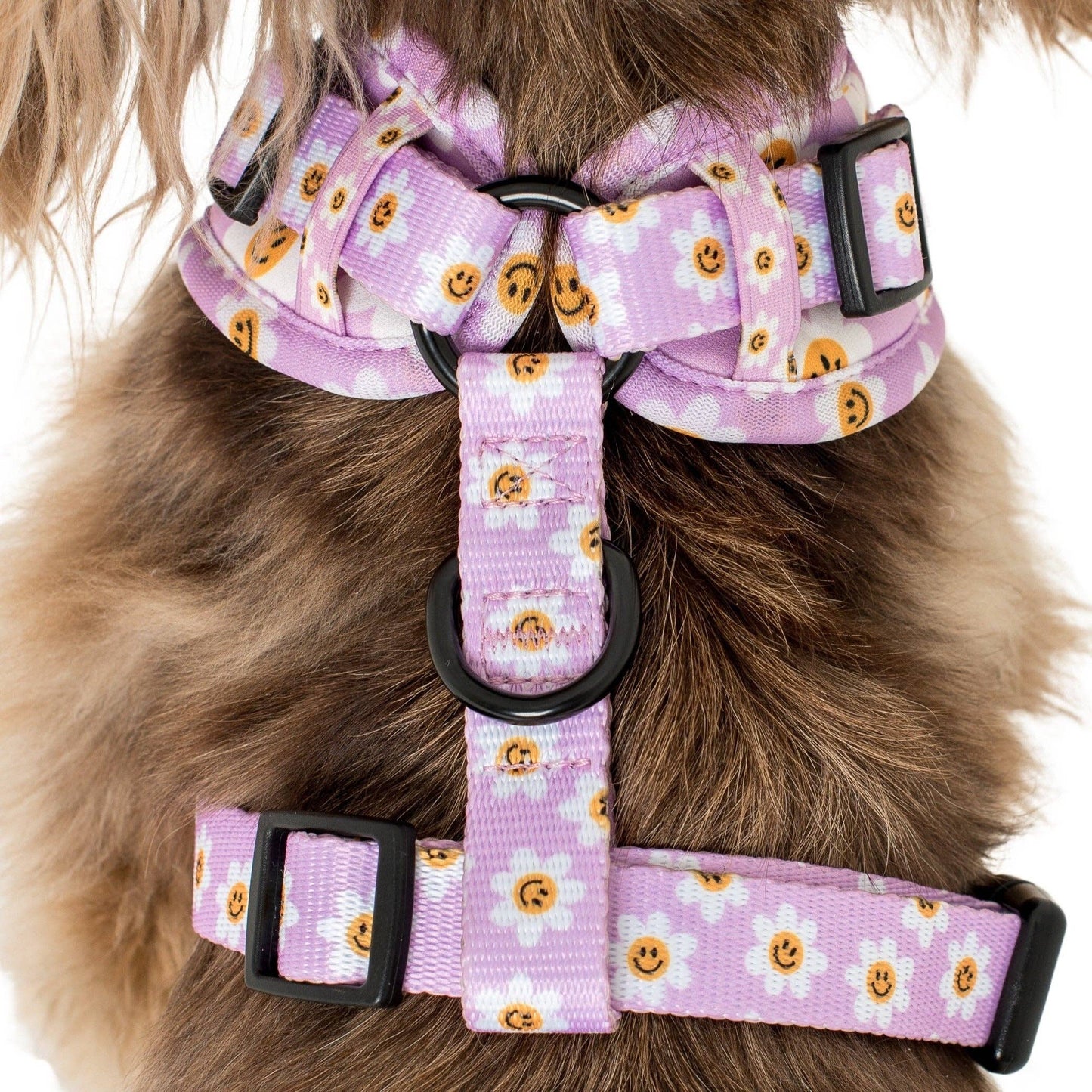 Lilac Smiley Flowers Dog Harness