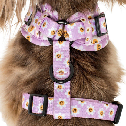 Lilac Smiley Flowers Dog Harness