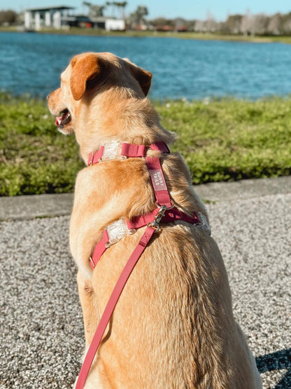 Sunny Tails Mulberry Burgundy Cloud Lite Dog Harness: