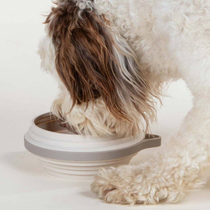 Nomad Collapsible Dog Bowl - Two Sizes Available: Sand Silicone / Large
