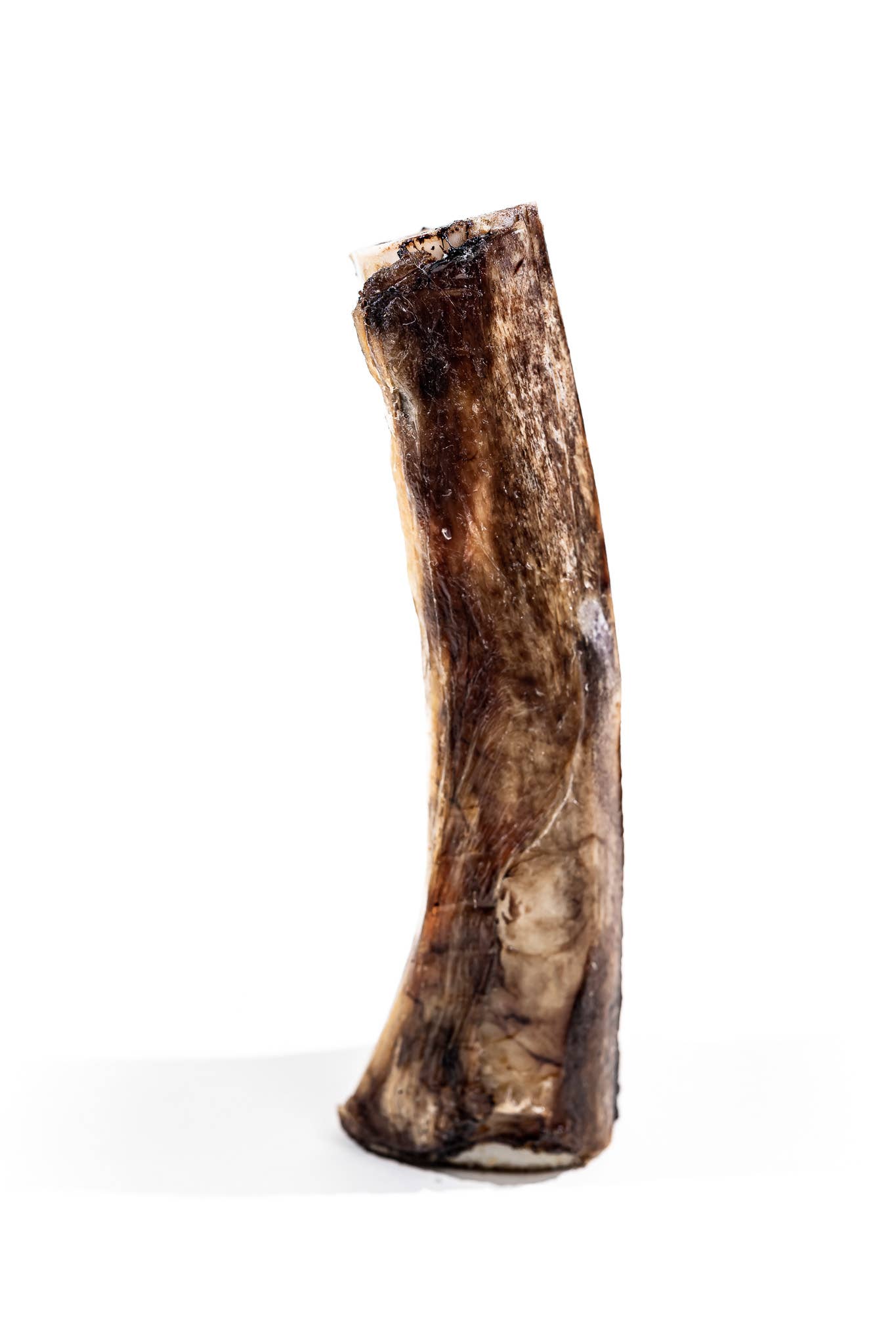 Bison Marrow Bone - 6-8"