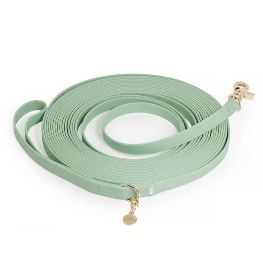 Pistachio Green Waterproof Cloud 30 Ft Dog Leash