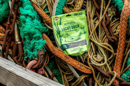 Polka Dog Lucky Duck Dog Treats