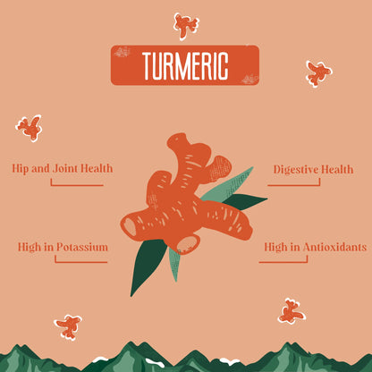 Yak 9 Turmeric Yak Chews