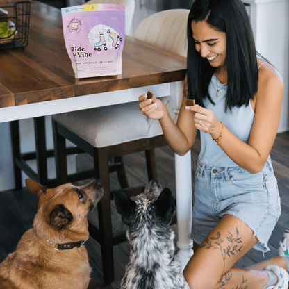 Ride & Vibe Wild-Caught Salmon Jerky Bars for Dogs 5oz