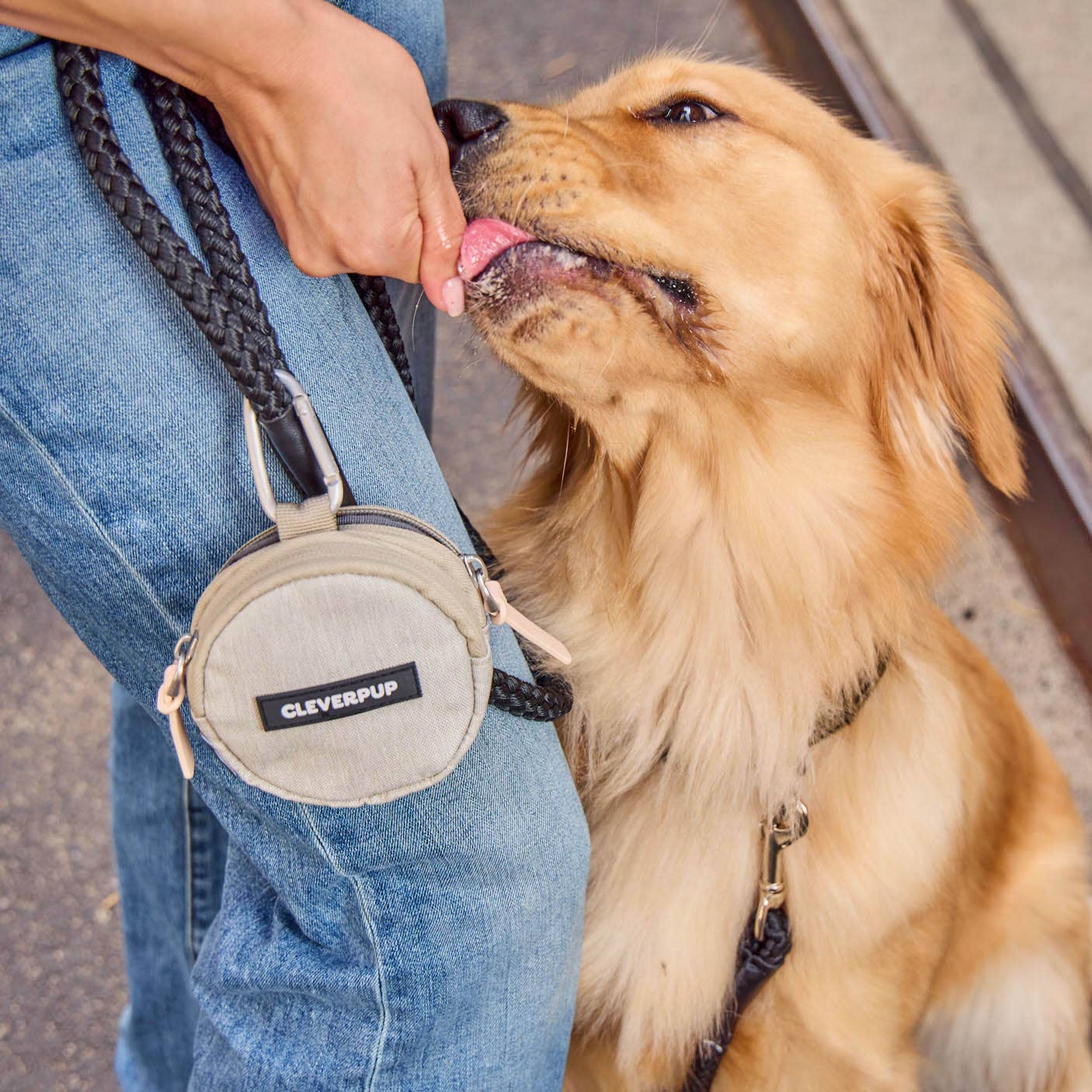 Snackpack Double Insulated Dog Treat Pouch: Sand