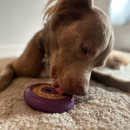 Freez Doughnut: Navy / UP TO 140LBS DOGS