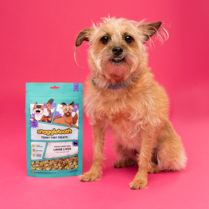 Snaggletooth Lamb Liver - Dog Treats