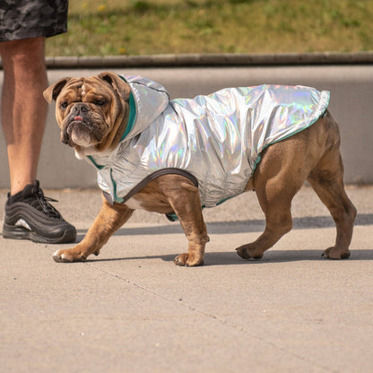 Reversible Dog Raincoat - Neon Aqua with Iridescent
