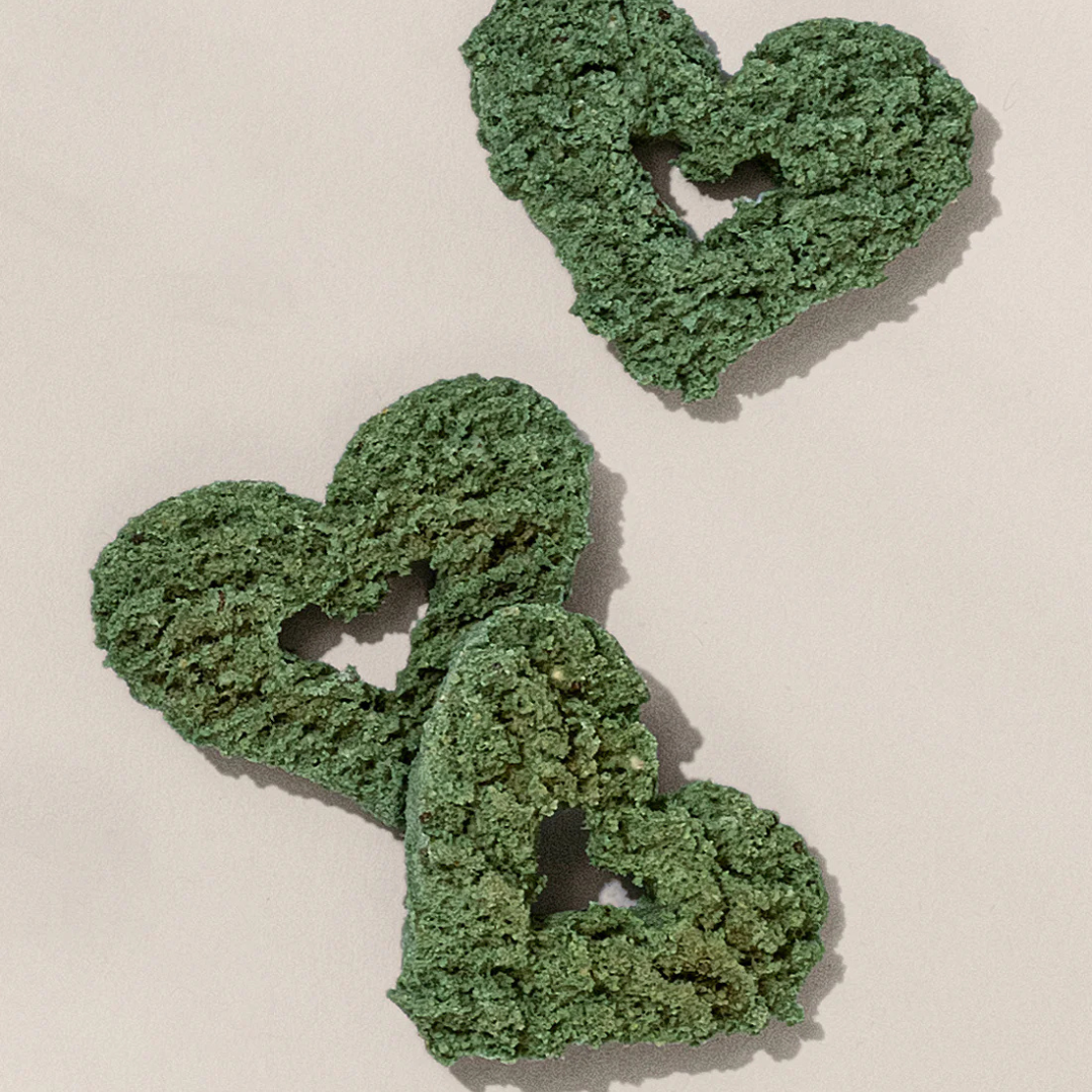 Gogoma Spirulina + Coconut Whole Food Dog Treat for Immunity