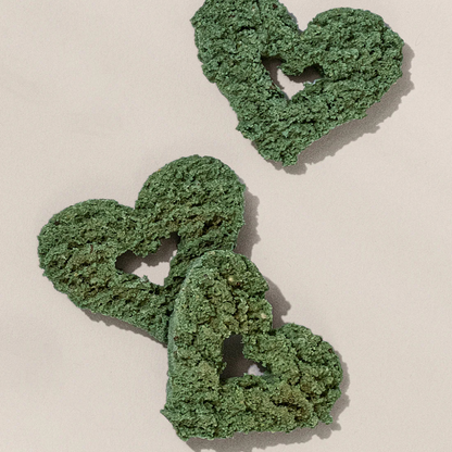 Gogoma Spirulina + Coconut Whole Food Dog Treat for Immunity