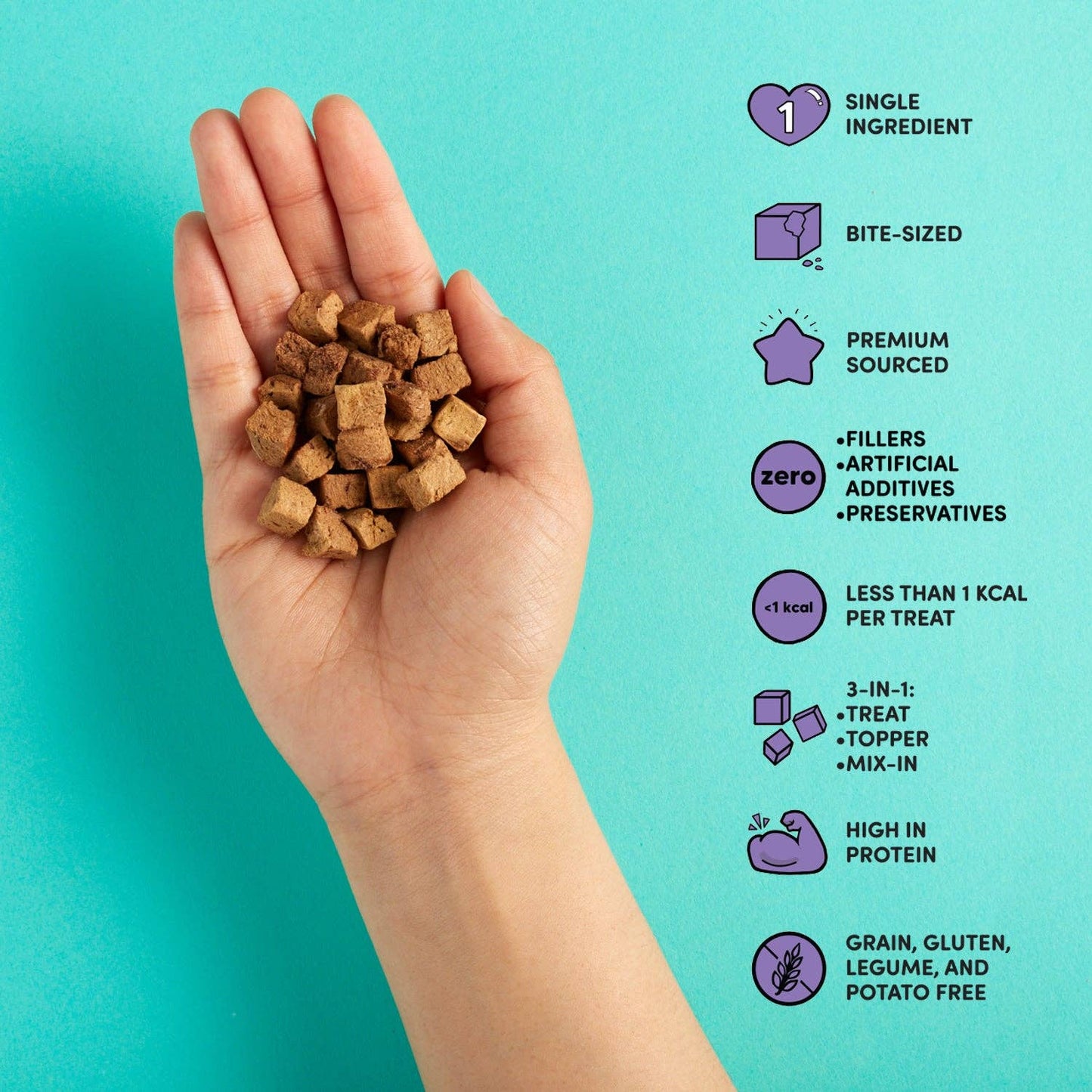 Snaggletooth Chicken Liver - Dog Treats